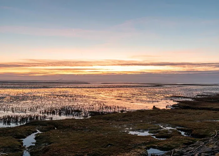 Helga By Interhome * Norddeich (Norden)